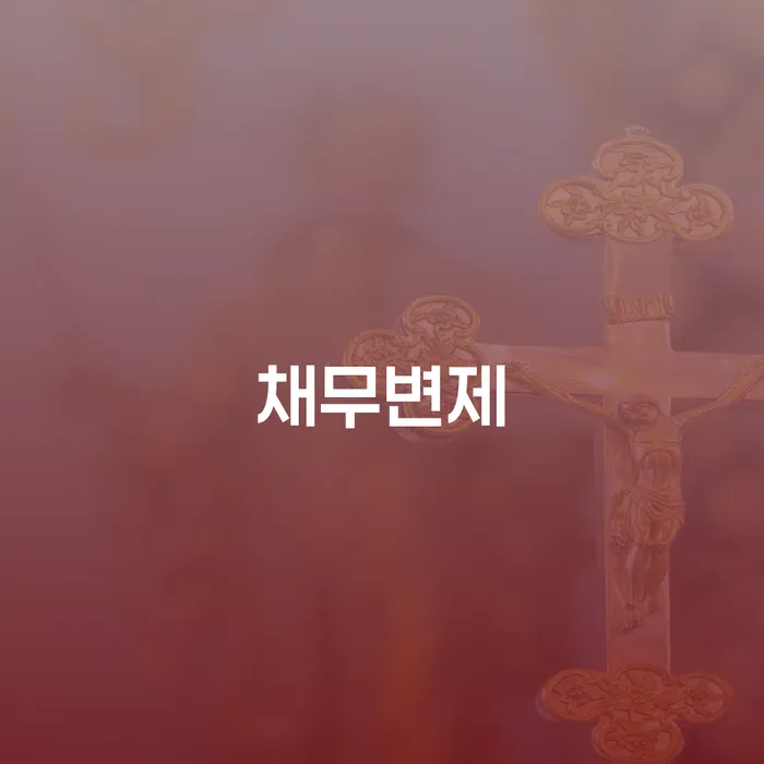 개인회생 개인회생으로 해결 검토를 한 다음에는