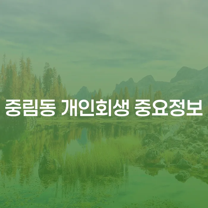 중림동 개인회생 중요정보