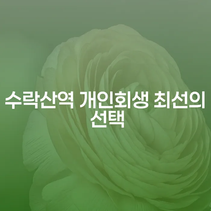 수락산역 개인회생 최선의 선택