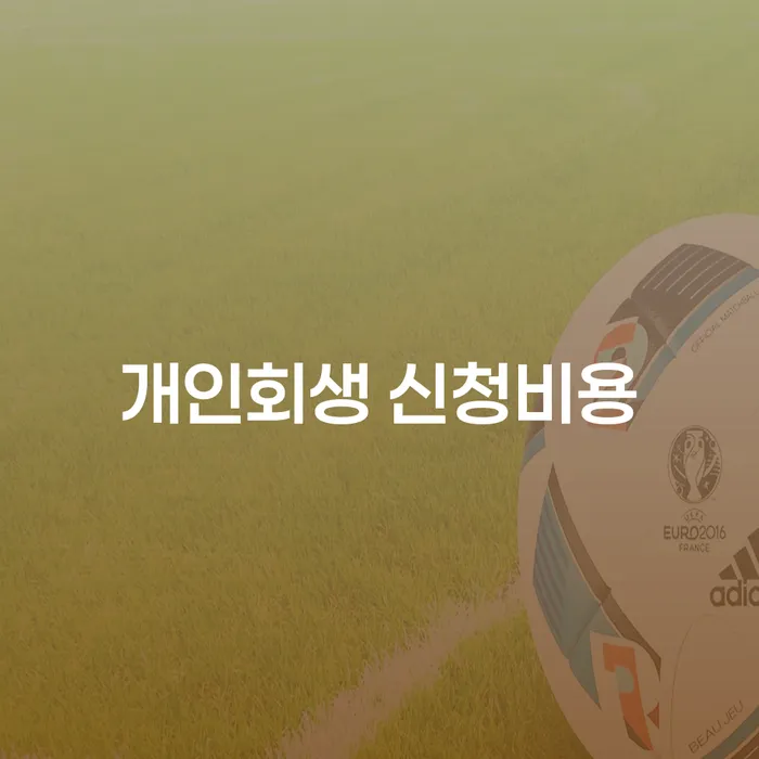 개인회생 신청비용: 비용과 절차를 이해하는 방법은?