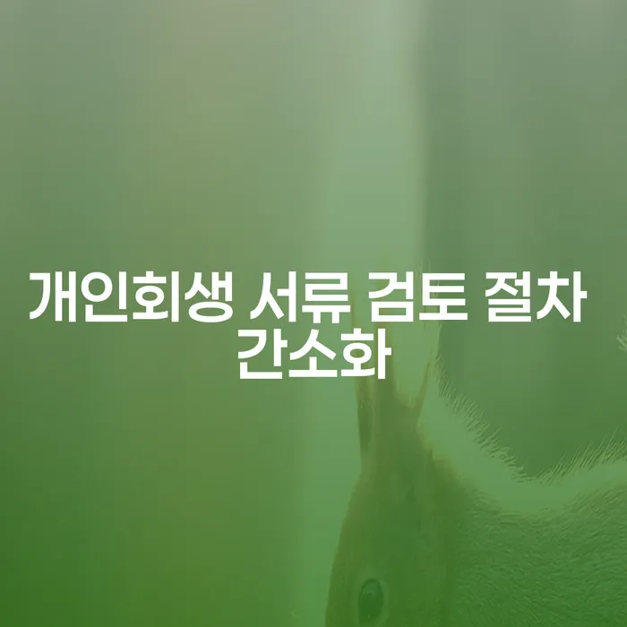 개인회생 서류 검토 절차 간소화: 어떻게 준비해야 할까요?
