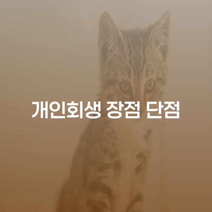 구의동 개인회생 장점과 단점