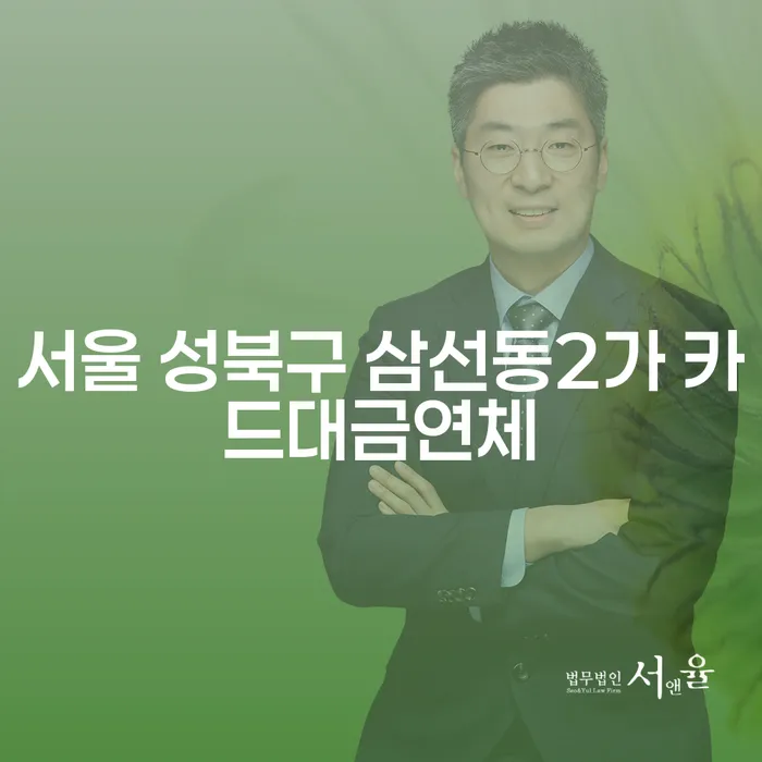 서울 성북구 삼선동2가 카드대금연체, 투자 실패 후 개인회생 신청, 어떻게 해야 할까요?