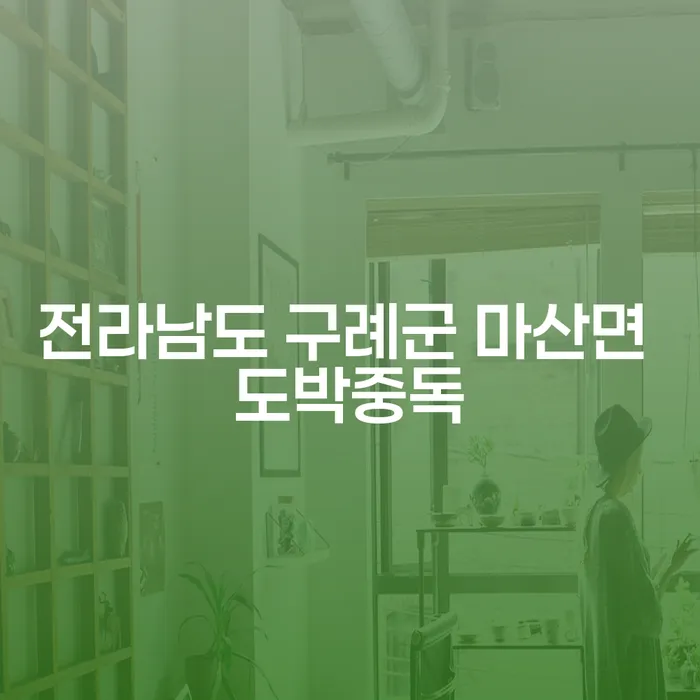 전라남도 구례군 마산면 도박중독, 해결 방법은?